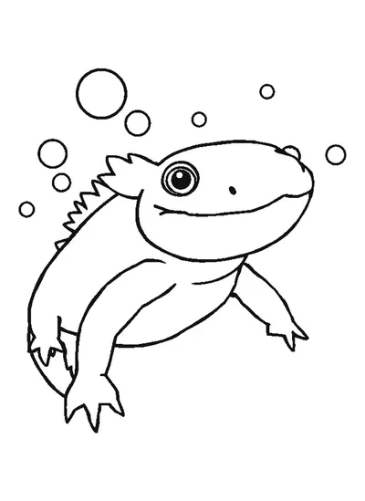 Axolotl buborékokkal — színező