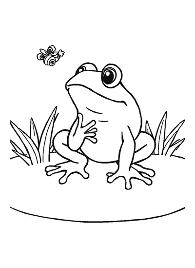 Béka legyet kap el — színező