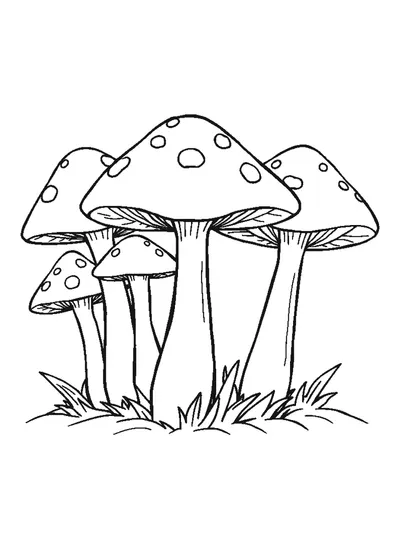 Gombacsoport — színező