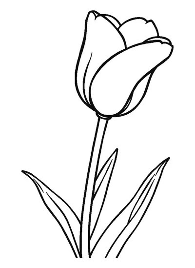Hosszú szárú tulipán — sablon