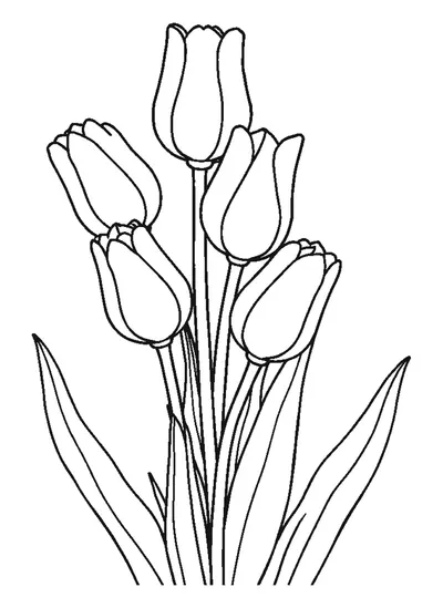 Tulipáncsokor — színező