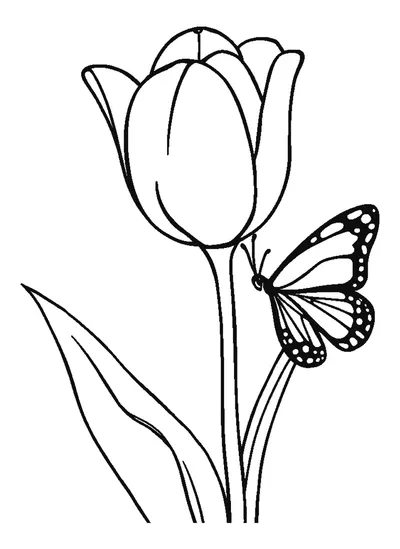 Tulipán és pillangó — színező