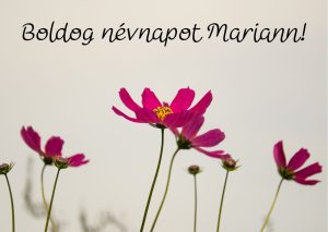 Képeslapküldő