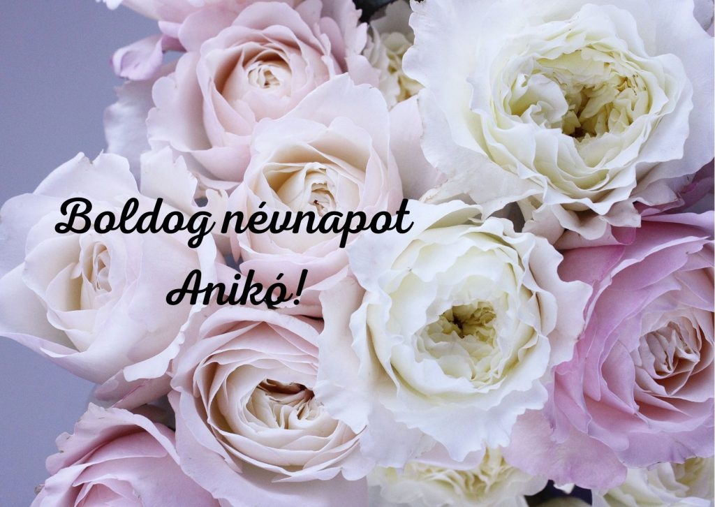 Anikó névnap képeslap