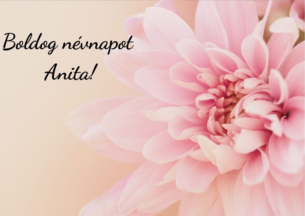 Anita névnapi képeslap